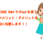BIGLOBE SIMはiPad (mini・Airなど)と相性抜群！設定方法やお得に利用する方法を伝授！！